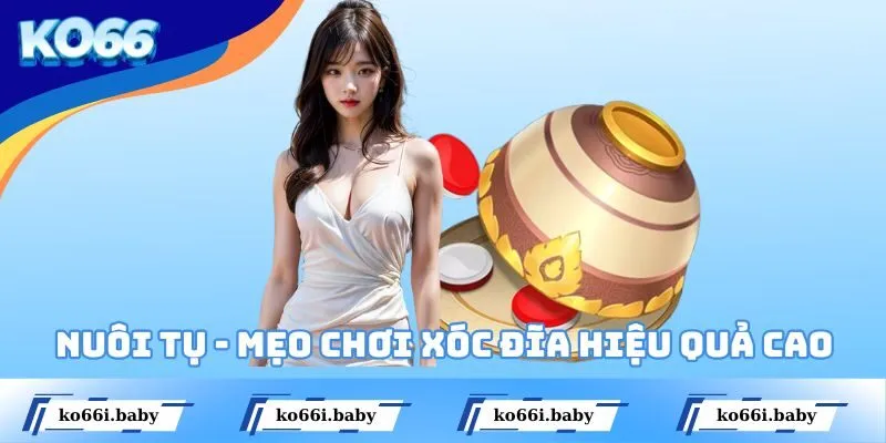 Nuôi tụ là mẹo chơi Xóc Đĩa mang lại hiệu quả cao