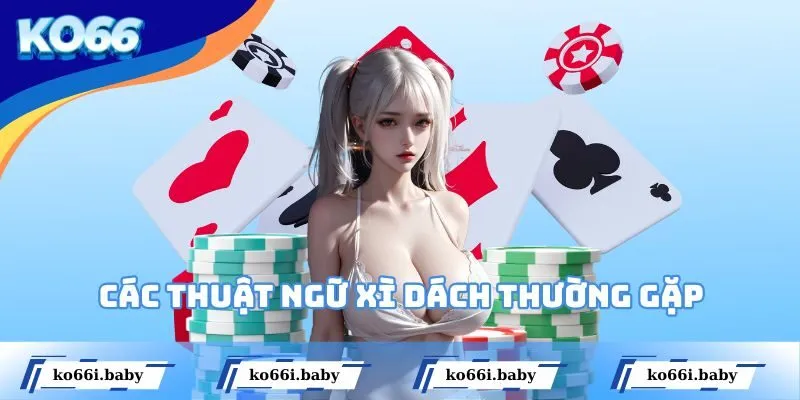 Tìm hiểu ý nghĩa các thuật ngữ Xì Dách thường gặp