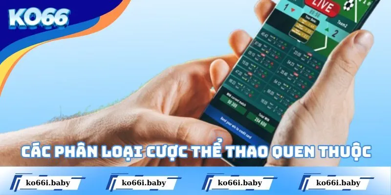 Các phân loại cược thể thao quen thuộc